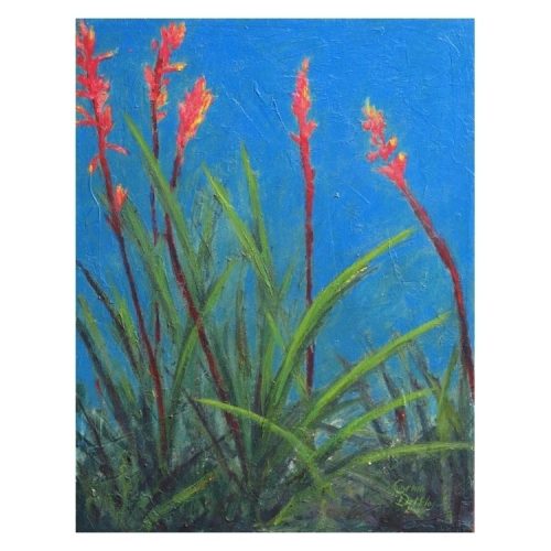 Red Yucca