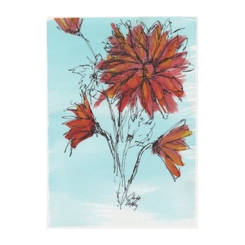 Orange Daisies