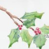 2015021web.jpg Holly Study #2