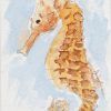 ATC: Seahorse