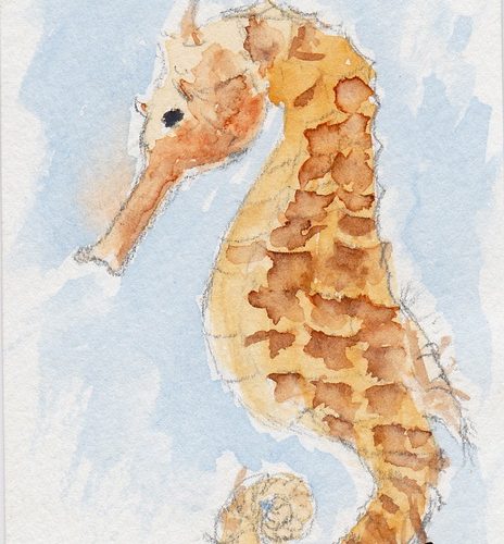 ATC: Seahorse