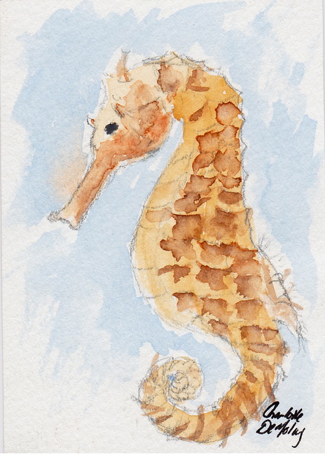ATC: Seahorse