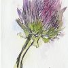 ATC: Chives II