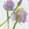 ATC: Chives III