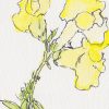 ATC: Snapdragon II