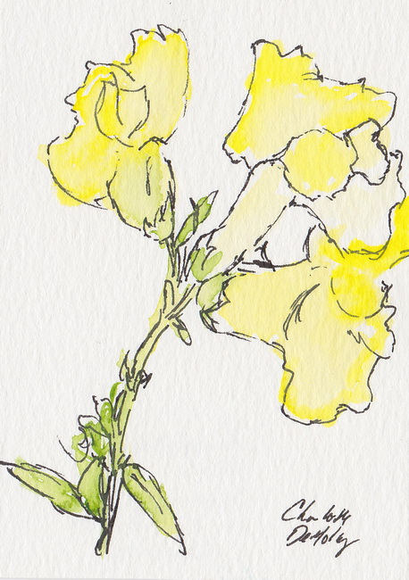 ATC: Snapdragon II