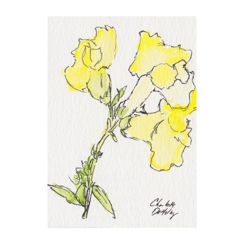 ATC: Snapdragon II