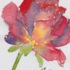 ATC: Rose