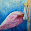 Roseate Spoonbill - Pink Ladies of Florida