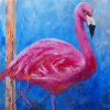 American Flamingo - Pink Ladies of Florida