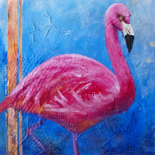 American Flamingo - Pink Ladies of Florida