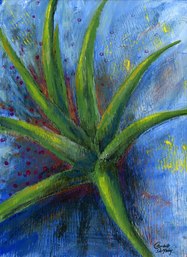 Aloe Vera