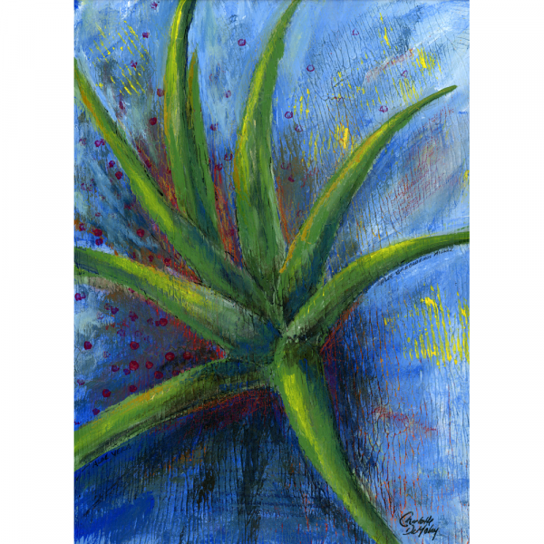 Aloe Vera