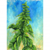 Italian Basil