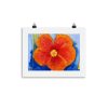Print - Orange Hibiscus