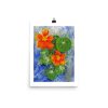 Print - Nasturtium