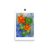 Print - Nasturtium