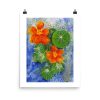 Print - Nasturtium