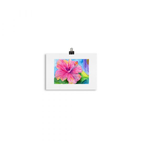 Print - Pink Hibiscus