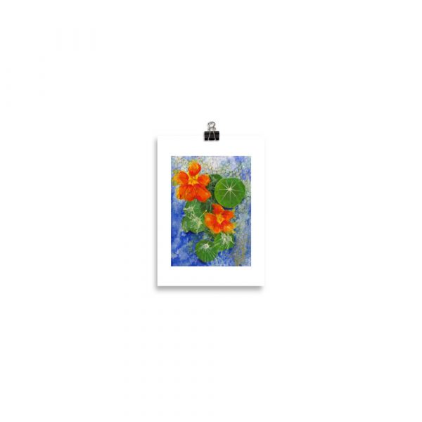 Print - Nasturtium