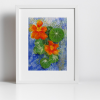 Print - Nasturtium